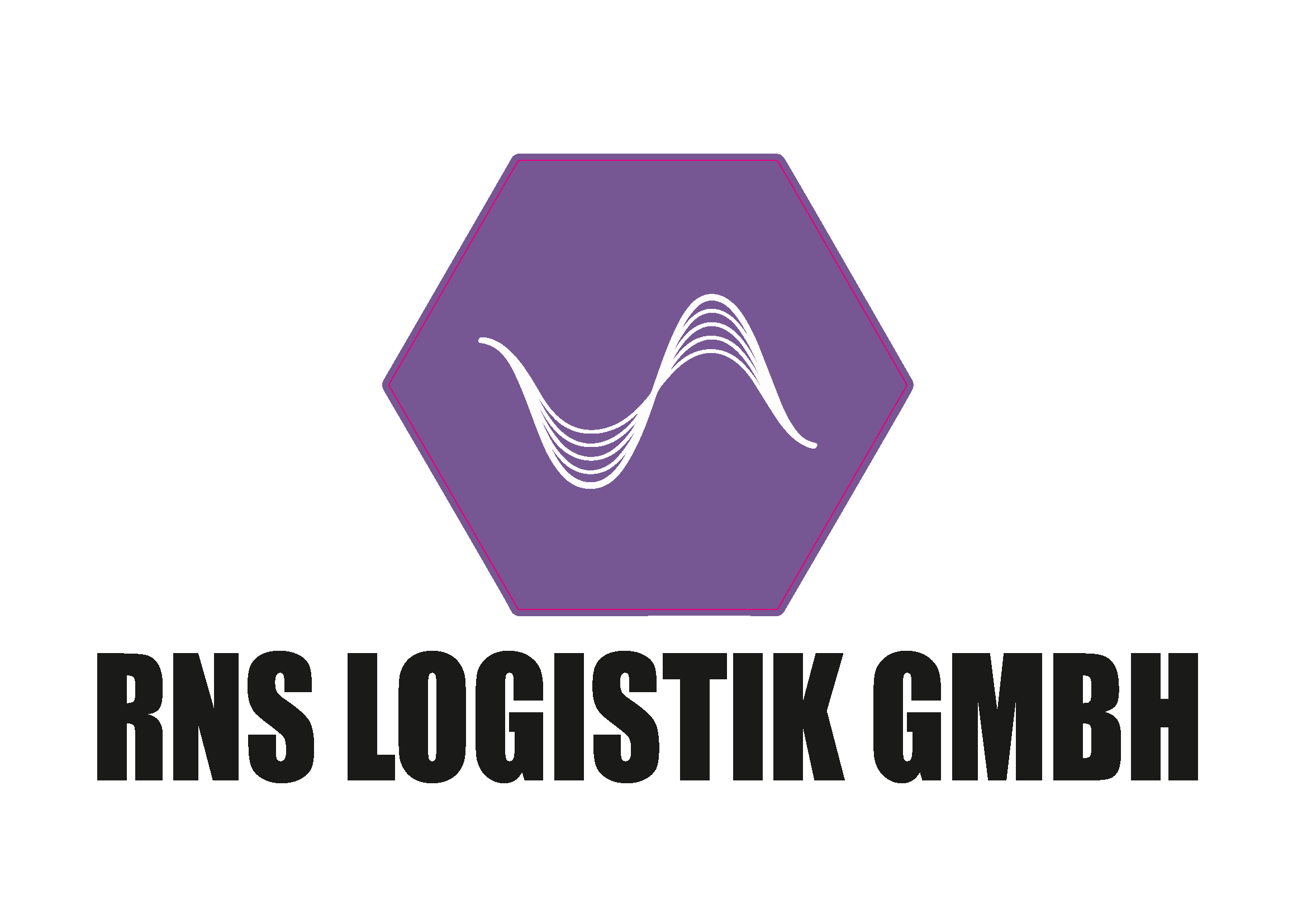 RNS Logistik GmbH's Avatar
