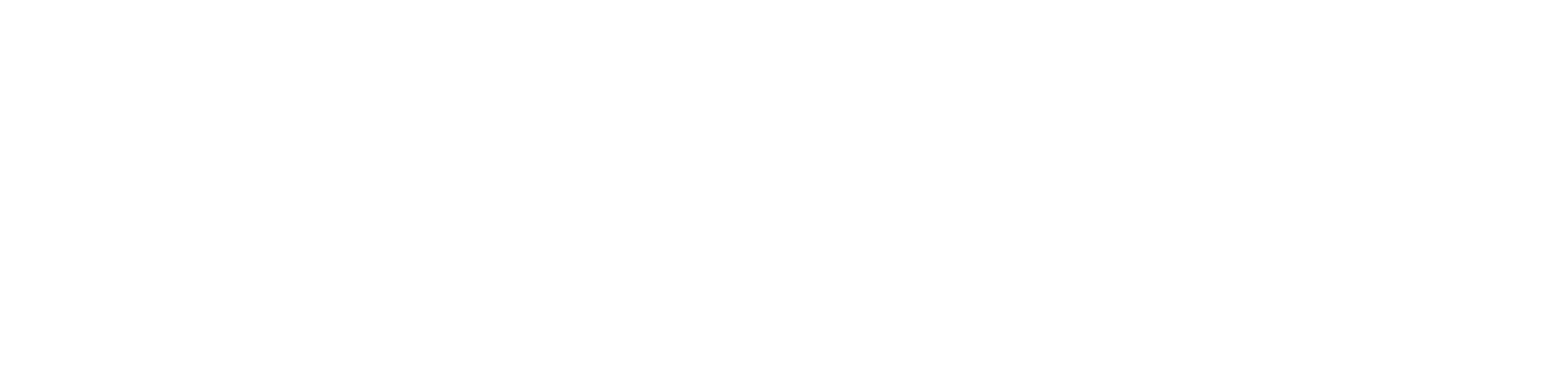 Nolan Transport logo